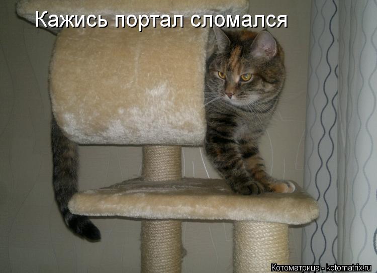 Кажись портал сломался... Котоматрица: Кажись портал сломался