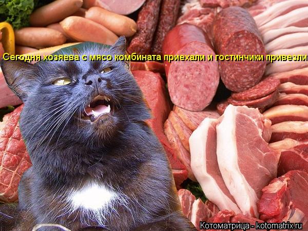 Сегодня хозяева с мясо комбината приехали и гостинчики привезли... Котоматрица: Сегодня хозяева с мясо комбината приехали и гостинчики привезли