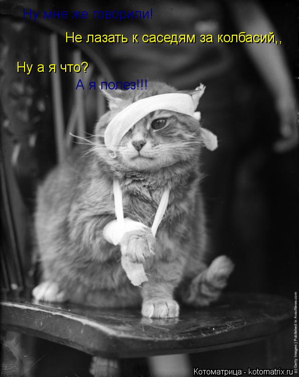 Ну мне же говорили! Не лазать к саседям за колбасий,, Ну а я что? А я полез!!!... Котоматрица: Ну мне же говорили! Не лазать к саседям за колбасий,, Ну а я что? А я полез!!!