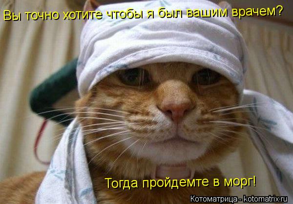 Вы точно хотите чтобы я был вашим врачем?Тогда пройдемте в морг! Вы точно хотите чтобы я был вашим вр... Котоматрица: Вы точно хотите чтобы я был вашим врачем?Тогда пройдемте в морг! Вы точно хотите чтобы я был вашим врачем? Тогда пройдемте в морг!