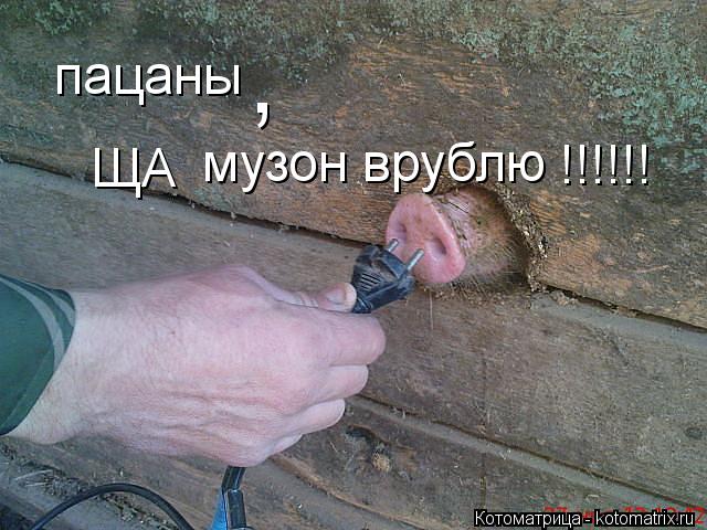 пацаны , ЩА музон врублю !!!!!!... Котоматрица: пацаны , ЩА музон врублю !!!!!!