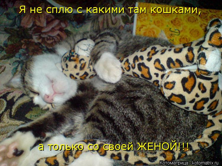 Я не сплю с какими там кошками, а только со своей ЖЕНОЙ!!!... Котоматрица: Я не сплю с какими там кошками, а только со своей ЖЕНОЙ!!!
