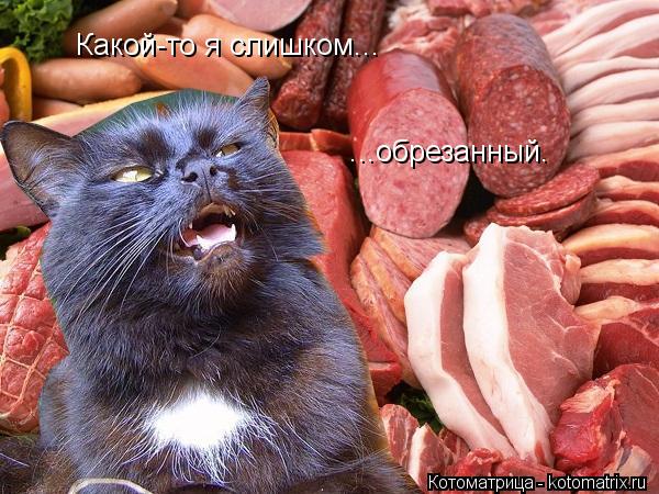 Какой-то я слишком... ...обрезанный.... Котоматрица: Какой-то я слишком... ...обрезанный.