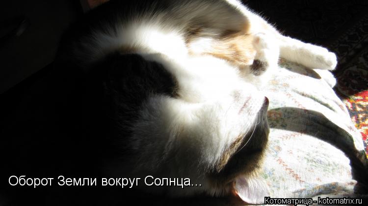 Котоматрица: Оборот Земли вокруг Солнца...