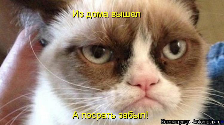 Из дома вышел А посрать забыл!... Котоматрица: Из дома вышел А посрать забыл!