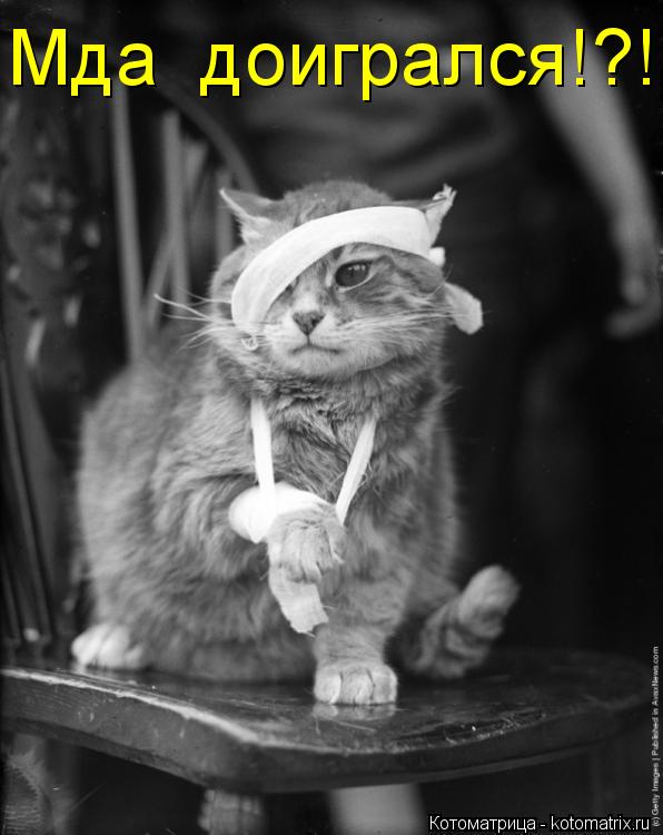 Мда доигрался!?!... Котоматрица: Мда доигрался!?!