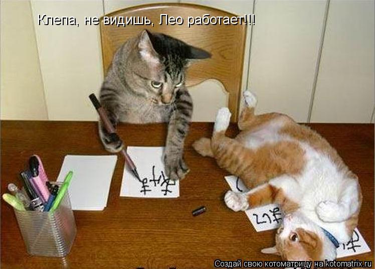 Клепа, не видишь, Лео работает!!!... Котоматрица: Клепа, не видишь, Лео работает!!!