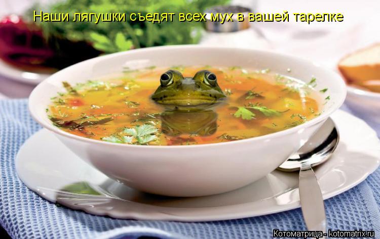Наши лягушки съедят всех мух в вашей тарелке... Котоматрица: Наши лягушки съедят всех мух в вашей тарелке