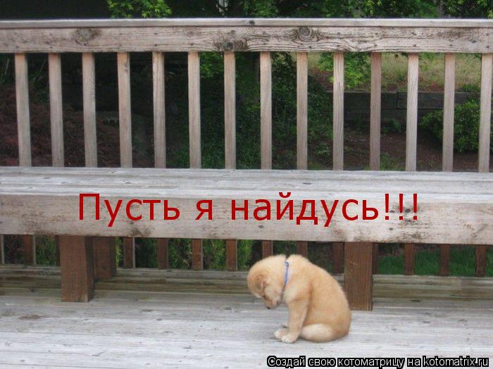 Пусть я найдусь!!!... Котоматрица: Пусть я найдусь!!!