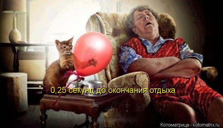 0,25 секунд до окончания отдыха... Котоматрица: 0,25 секунд до окончания отдыха