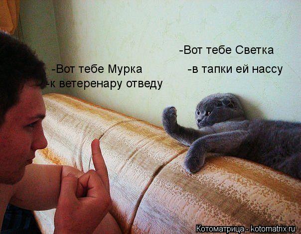 -Вот тебе Светка -в тапки ей нассу -Вот тебе Мурка -к ветеренару отведу... Котоматрица: -Вот тебе Светка -в тапки ей нассу -Вот тебе Мурка -к ветеренару отведу