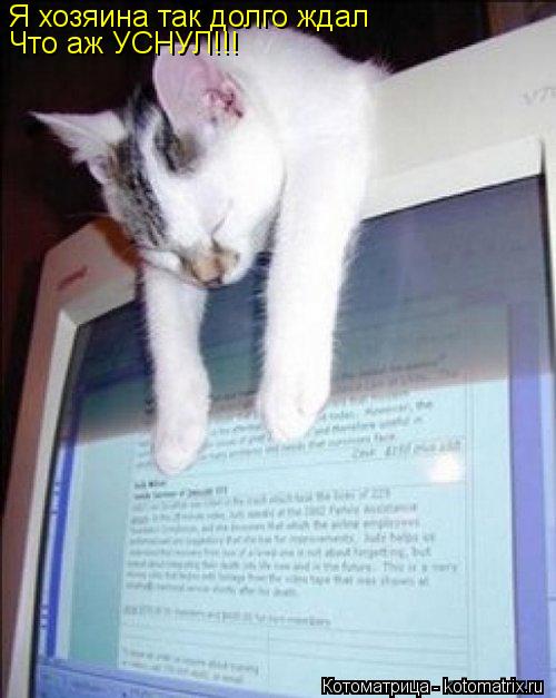 Я хозяина так долго ждал Что аж УСНУЛ!!!... Котоматрица: Я хозяина так долго ждал Что аж УСНУЛ!!!