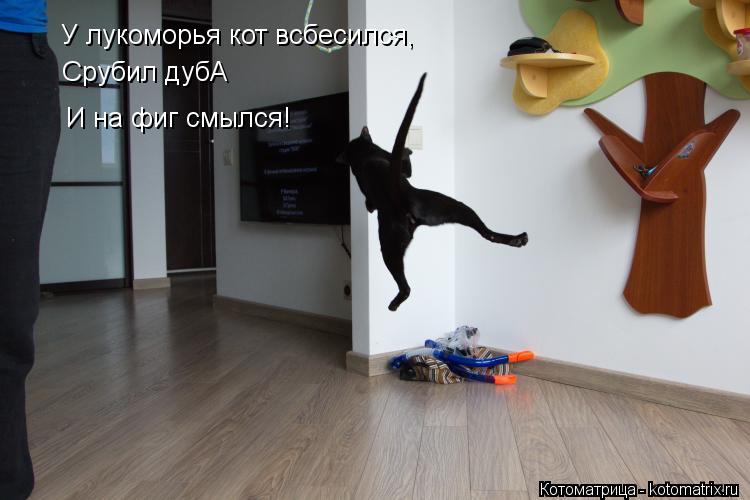 У лукоморья кот всбесился, Срубил дубА И на фиг смылся!... Котоматрица: У лукоморья кот всбесился, Срубил дубА И на фиг смылся!