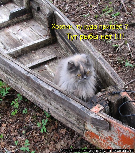 - Хозяин, ту куда пригрёб ? Тут рыбы нет !!!!... Котоматрица: - Хозяин, ту куда пригрёб ? Тут рыбы нет !!!!