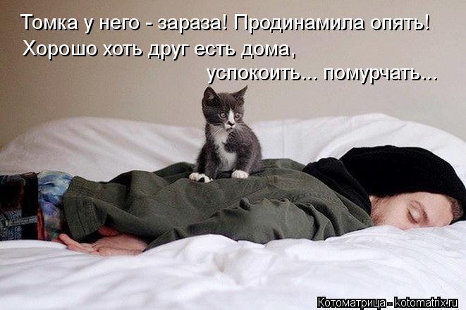Томка у него - зараза! Продинамила опять! Хорошо хоть друг есть дома, успокоить... помурчать...... Котоматрица: Томка у него - зараза! Продинамила опять! Хорошо хоть друг есть дома, успокоить... помурчать...