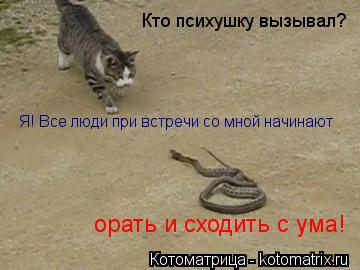 Кто психушку вызывал? Я! Все люди при встречи со мной начинают орать и сходить с ума!... Котоматрица: Кто психушку вызывал? Я! Все люди при встречи со мной начинают орать и сходить с ума!