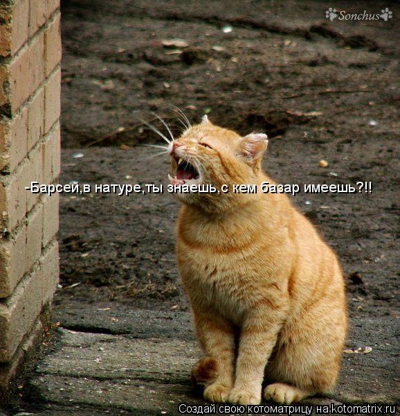 -Барсей,в натуре,ты знаешь,с кем базар имеешь?!!... Котоматрица: -Барсей,в натуре,ты знаешь,с кем базар имеешь?!!