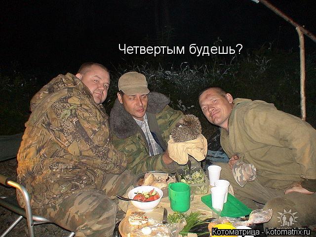Четвертым будешь?... Котоматрица: Четвертым будешь?