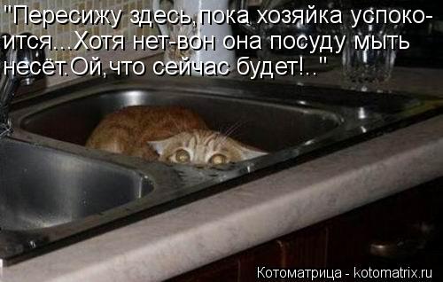 "Пересижу здесь,пока хозяйка успоко- ится...Хотя нет-вон она посуду мыть несёт.Ой,что сейчас будет!..... Котоматрица: "Пересижу здесь,пока хозяйка успоко- ится...Хотя нет-вон она посуду мыть несёт.Ой,что сейчас будет!.."