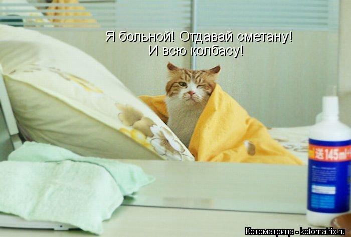 Я больной! Отдавай сметану! И всю колбасу!... Котоматрица: Я больной! Отдавай сметану! И всю колбасу!