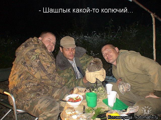 - Шашлык какой-то колючий...... Котоматрица: - Шашлык какой-то колючий...
