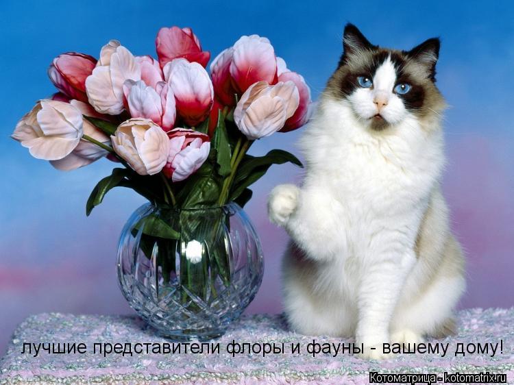 лучшие представители флоры и фауны - вашему дому!... Котоматрица: лучшие представители флоры и фауны - вашему дому!