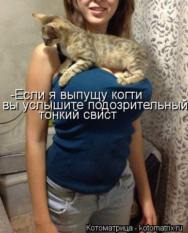 -Если я выпущу когти вы услышите подозрительный тонкий свист... Котоматрица: -Если я выпущу когти вы услышите подозрительный тонкий свист