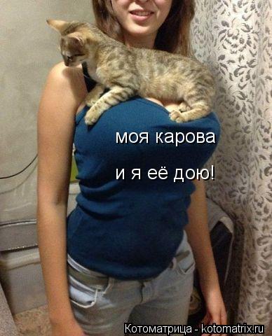 моя карова и я её дою!... Котоматрица: моя карова и я её дою!