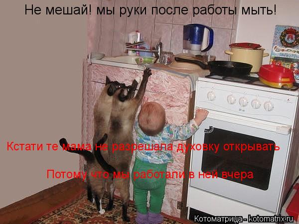 Не мешай! мы руки после работы мыть! Кстати те мама не разрешала духовку открывать Кстати те мама не ... Котоматрица: Не мешай! мы руки после работы мыть! Кстати те мама не разрешала духовку открывать Кстати те мама не разрешала духовку открывать Потому что