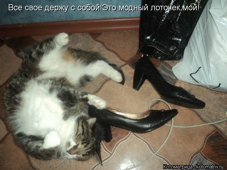 Все свое держу с собой!Это модный лоточек мой!... Котоматрица: Все свое держу с собой!Это модный лоточек мой!