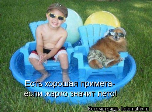 Есть хорошая примета- если жарко,значит лето!... Котоматрица: Есть хорошая примета- если жарко,значит лето!