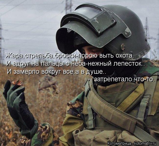 Жара,стрельба,броски-порою выть охота. И вдруг на пальцы с неба-нежный лепесток.. И замерло вокруг вс... Котоматрица: Жара,стрельба,броски-порою выть охота. И вдруг на пальцы с неба-нежный лепесток.. И замерло вокруг все,а в душе.. затрепетало что-то.