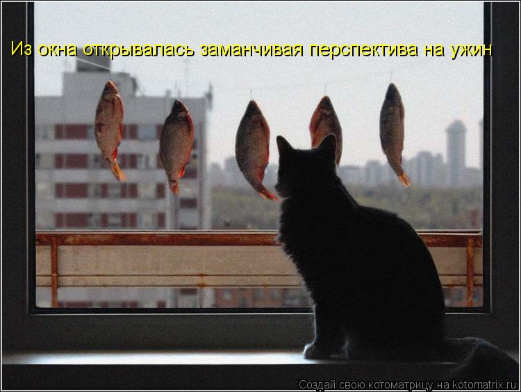 Из окна открывалась заманчивая перспектива на ужин... Котоматрица: Из окна открывалась заманчивая перспектива на ужин