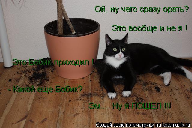Ой, ну чего сразу орать? Это вообще и не я ! Это Бобик приходил ! - Какой еще Бобик? Эм... Ну я ПОШЕ... Котоматрица: Ой, ну чего сразу орать? Это вообще и не я ! Это Бобик приходил ! - Какой еще Бобик? Эм... Ну я ПОШЕЛ !!!