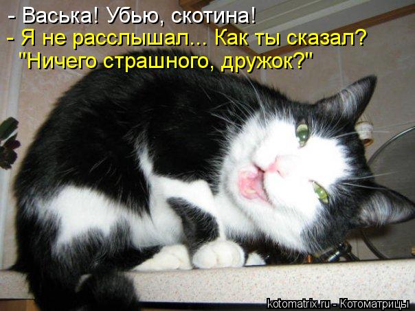 - Васька! Убью, скотина! - Я не расслышал... Как ты сказал? "Ничего страшного, дружок?"... Котоматрица: - Васька! Убью, скотина! - Я не расслышал... Как ты сказал? "Ничего страшного, дружок?"