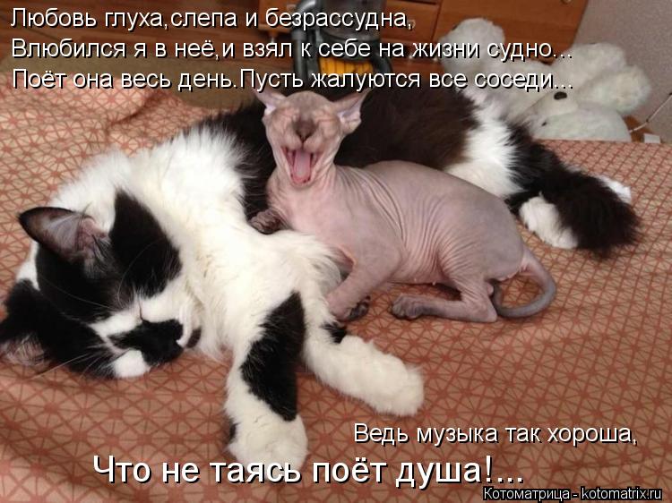 Любовь глуха,слепа и безрассудна, Влюбился я в неё,и взял к себе на жизни судно... Поёт она весь день... Котоматрица: Любовь глуха,слепа и безрассудна, Влюбился я в неё,и взял к себе на жизни судно... Поёт она весь день.Пусть жалуются все соседи... Ведь музыка т