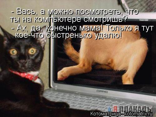 - Вась, а можно посмотреть, что ты на компьютере смотришь? - Ах, да, конечно мама! Только я тут кое-ч... Котоматрица: - Вась, а можно посмотреть, что ты на компьютере смотришь? - Ах, да, конечно мама! Только я тут кое-что быстренько удалю!