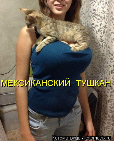МЕКСИКАНСКИЙ ТУШКАН... Котоматрица: МЕКСИКАНСКИЙ ТУШКАН