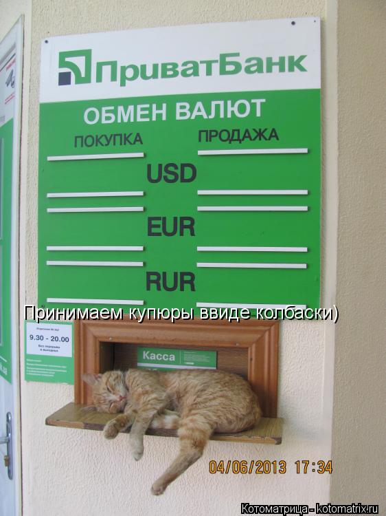 Принимаем купюры ввиде колбаски)... Котоматрица: Принимаем купюры ввиде колбаски)