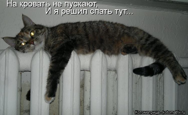 На кровать не пускают, И я решил спать тут...... Котоматрица: На кровать не пускают, И я решил спать тут...