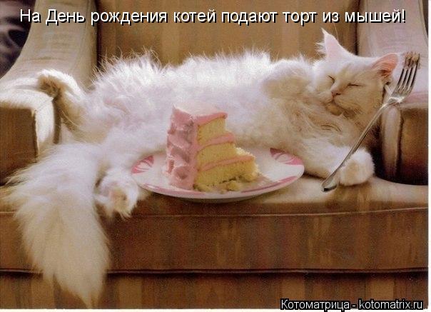 На День рождения котей подают торт из мышей!... Котоматрица: На День рождения котей подают торт из мышей!