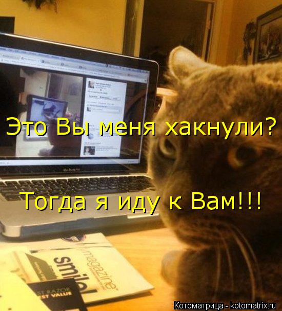 Это Вы меня хакнули? Тогда я иду к Вам!!!... Котоматрица: Это Вы меня хакнули? Тогда я иду к Вам!!!