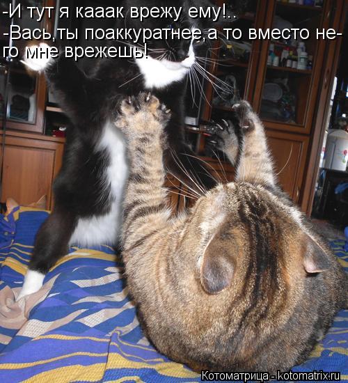 -И тут я кааак врежу ему!.. -Вась,ты поаккуратнее,а то вместо не- го мне врежешь!... Котоматрица: -И тут я кааак врежу ему!.. -Вась,ты поаккуратнее,а то вместо не- го мне врежешь!
