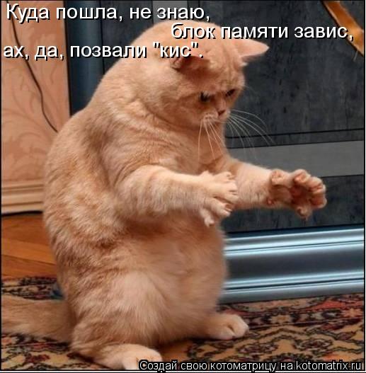Куда пошла, не знаю, блок памяти завис, ах, да, позвали "кис".... Котоматрица: Куда пошла, не знаю, блок памяти завис, ах, да, позвали "кис".