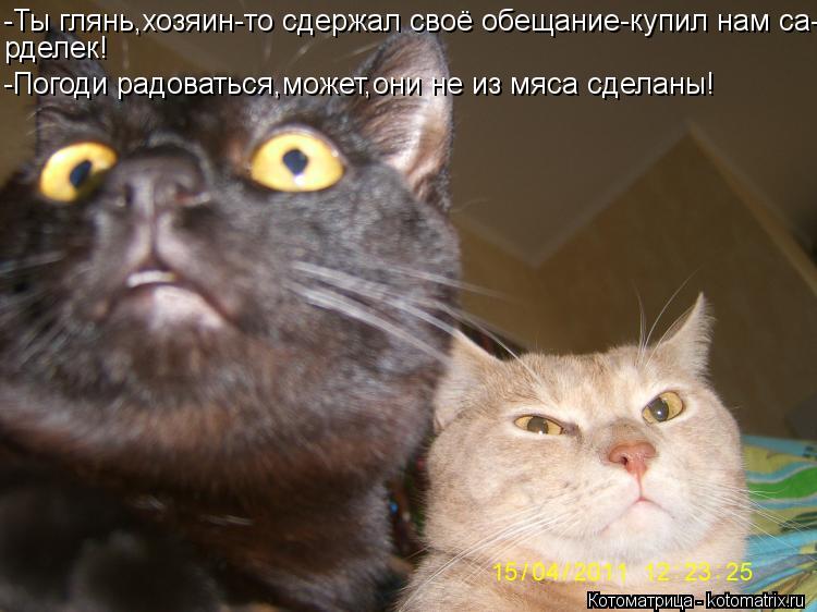 -Ты глянь,хозяин-то сдержал своё обещание-купил нам са- рделек! -Погоди радоваться,может,они не из мя... Котоматрица: -Ты глянь,хозяин-то сдержал своё обещание-купил нам са- рделек! -Погоди радоваться,может,они не из мяса сделаны!