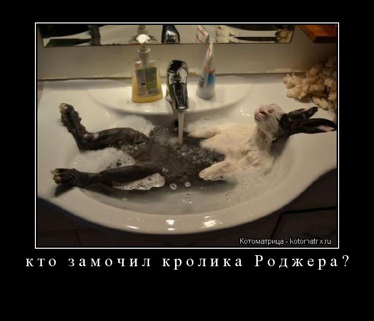кто замочил кролика Роджера? ... Котоматрица: кто замочил кролика Роджера?