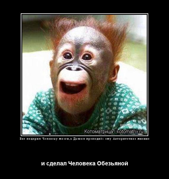 Бог подарил Человеку мозги,а Дьявол преподнёс ему Авторитетное мнение и сделал Человека Обезьяной... Котоматрица: Бог подарил Человеку мозги,а Дьявол преподнёс ему Авторитетное мнение и сделал Человека Обезьяной