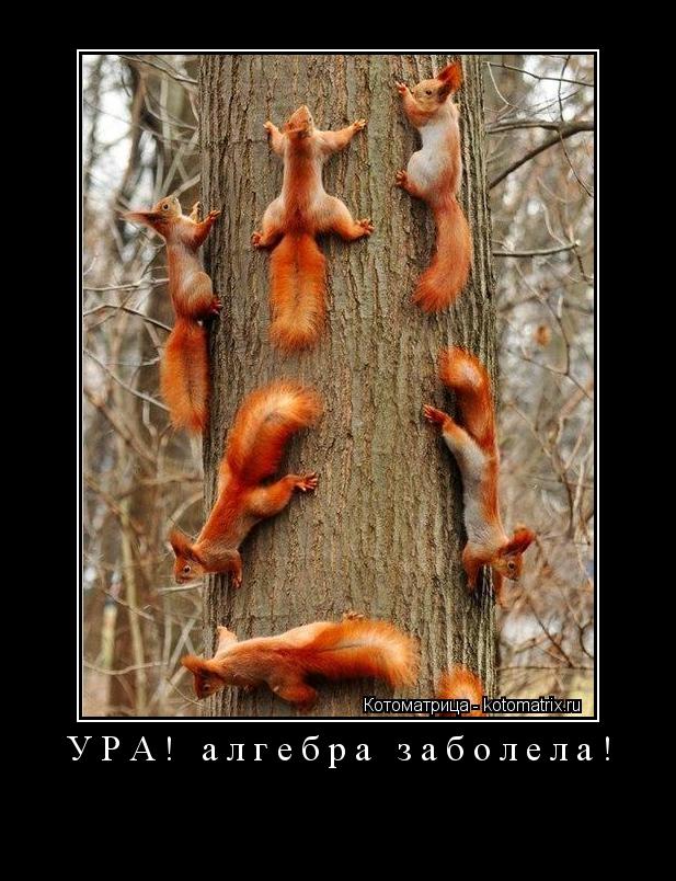 УРА! алгебра заболела! ... Котоматрица: УРА! алгебра заболела!