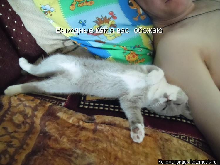Выходные как я вас обожаю... Котоматрица: Выходные как я вас обожаю