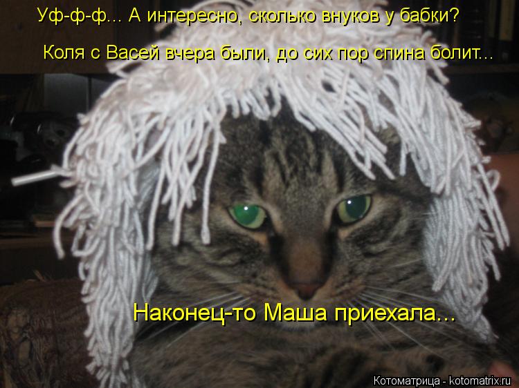Уф-ф-ф... А интересно, сколько внуков у бабки? Коля с Васей вчера были, до сих пор спина болит... Нак... Котоматрица: Уф-ф-ф... А интересно, сколько внуков у бабки? Коля с Васей вчера были, до сих пор спина болит... Наконец-то Маша приехала...